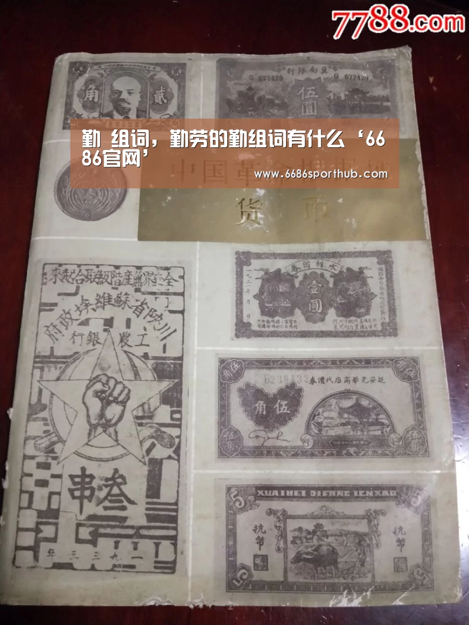 6686热点