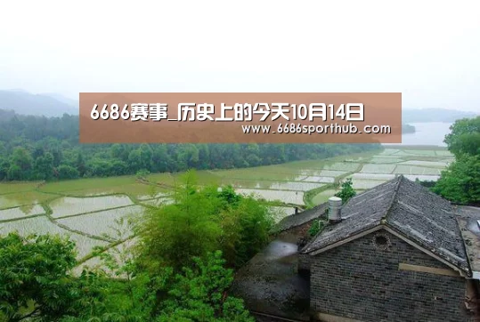 6686官网