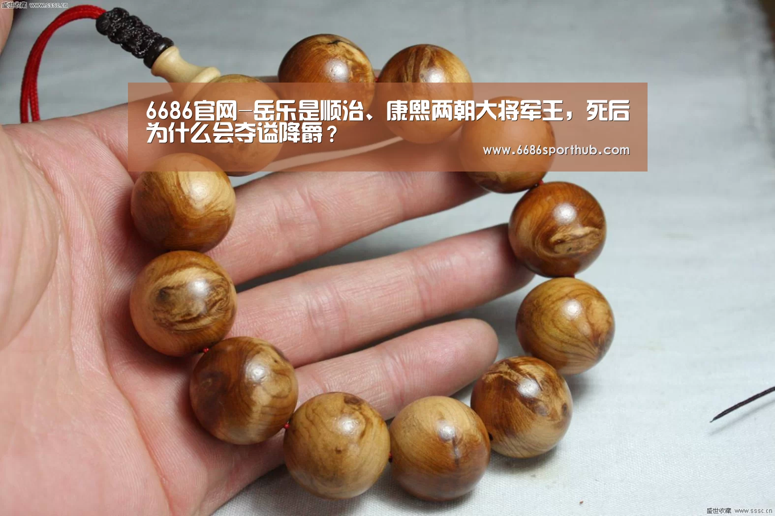 6686官网-岳乐是顺治、康熙两朝大将军王,死后为什么会夺谥降爵?(图3) 6686热点